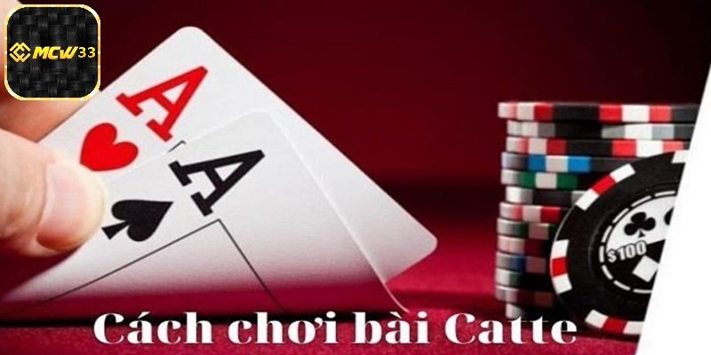 Khám phá tổng quan về trò chơi bài Catte